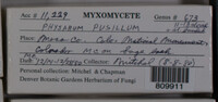 Image Associated With the Occurence